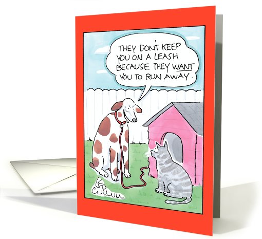 Cat Leash Humor card (994573)