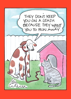 Cat Leash Humor...