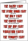 Birthday Fart Funny Poem Card