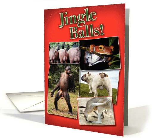Jingle Balls Funny card (994737)
