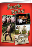 Jingle Balls Funny Card