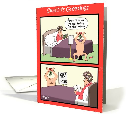 Kiss Nose Mistletoe Funny card (994833)