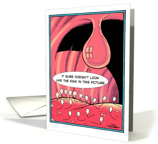 Egg In The Picture Humor card (994881)