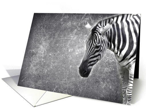 ZZZebra card (955937)