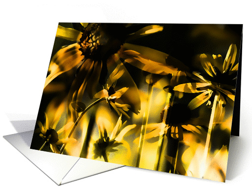 Black Eyed Susans card (949363)
