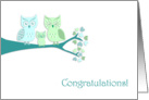 Congratulations On Your New Baby Boy Cute Owls card