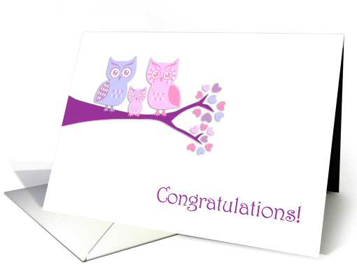 Congratulations On Your New Baby Girl Cute Owls card (1075000)