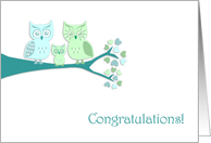 Congratulations On Your New Baby Boy Cute Owls card