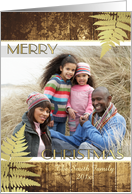 Rustic Wood and Gold Fern Leaves Christmas Photo Card