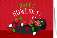 Happy HOWLidays Cute Dachshund Holiday card