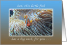 Little Fish with a Big Happy Birthday Wish Son, Clown Fish card