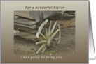 The Old Wagon, Happy Birthday for a Sister card