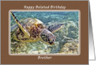 Happy Belated Birthday, Brother, Green Sea Turtle card