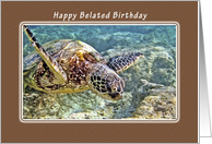 Happy Belated Birthday, Green Sea Turtle card