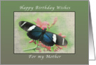 Happy Birthday Wishes, for my Mother, Butterfly card