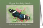 Happy Birthday Wishes, for Special Babysitter, Butterfly card