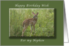 Happy Birthday for my Nephew, Fawn, whitetail deer card
