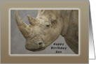 Happy Birthday Son, Rhinoceros card