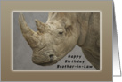 Happy Birthday Brother-in-Law, Rhinoceros card