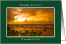 Happy Birthday Wishes for a Wife, Copper Sunrise, Hawaii card