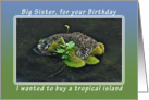 Happy Birthday Tropical Island for a Big Sister card