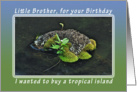 Happy Birthday Tropical Island for Little Brother card