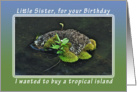 Happy Birthday Tropical Island for Little Sister card