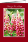 Happy Birthday, lupine blossoms, Blank Inside card