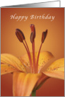 Happy Birthday, Orange daylily card