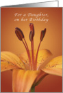 For a Daughter Happy Birthday, Orange daylily card