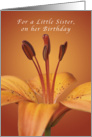 For a Little Sister Happy Birthday, Orange daylily card