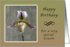 Happy Birthday for a Special Cousin, Lady Slipper Orchid card