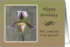 Happy Birthday for someone special, Lady Slipper Orchid card