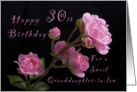 Happy 30th Birthday for a granddaughter-in-Law, Pink Roses card