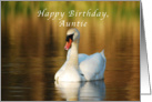 Happy Birthday, Auntie, Swan in Pond at Sunset card