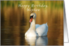 Happy Birthday, Nephew, Swan in Pond at Sunset card