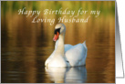 Happy Birthday, Husband, Swan in Pond at Sunset card