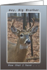 Hey, Big Brother now that I have Your Attention Happy Birthday, Buck card
