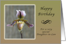 Happy Birthday for a Special Daughter-in-Law, Lady Slipper Orchid card