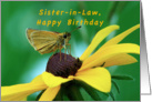 Sister-in-Law, Happy Birthday, Skipper Butterfly on Brown eyed Susan card