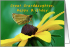 Great Granddaughter, Happy Birthday, Butterfly on Brown eyed Susan card