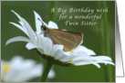 A Big Birthday Wish for a Twin Sister, Butterfly in a white daisy card