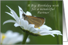 A Big Birthday Wish for a Wonderful Partner, Butterfly in a Daisy card