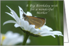 A Big Birthday Wish for a mother, Butterfly in a White Daisy card