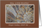 A Birthday Wish for a Little Brother, Shell card