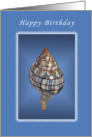 Happy Birthday Seashell with Blue Background card