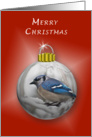 Merry Christmas, Bluejay Ornament card