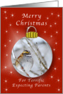 Merry Christmas for Terrific Parents, Sparrow Ornament card