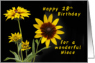 Happy 28th Birthday for a Niece, Rudbeckia flowers card