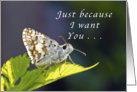 Happy Whatever Day, Butterfly card